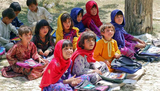 免费ddos在线攻击